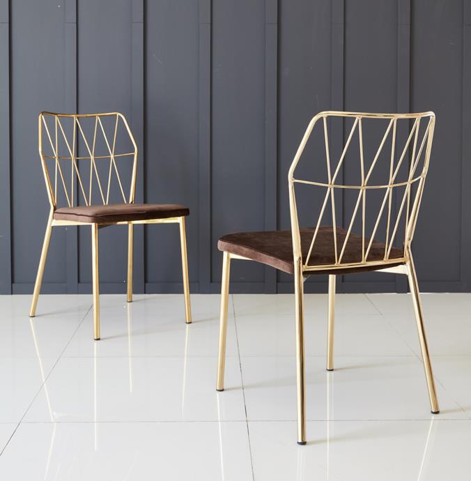 2022-01-25 11;18;24.JPEG