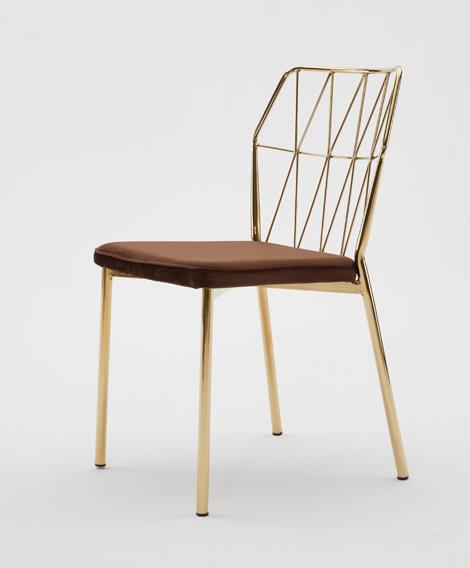 2022-01-25 11;18;08.JPEG