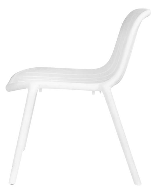 2024-06-25 10;50;45.JPEG