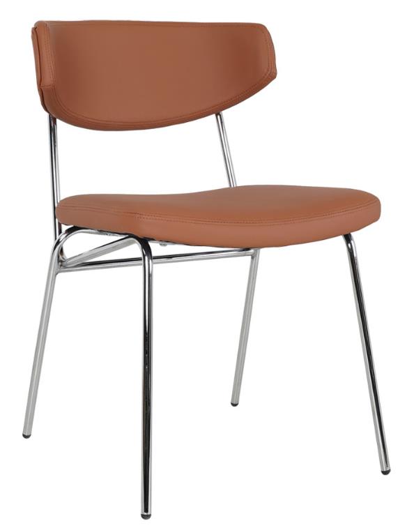 2025-01-09 10;56;44.JPEG